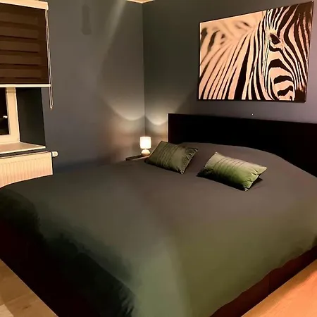 別荘 Chez Koulla Et Romu デュルビュイ